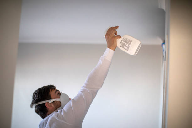 Best Commercial Mold Removal  in Galena, IN