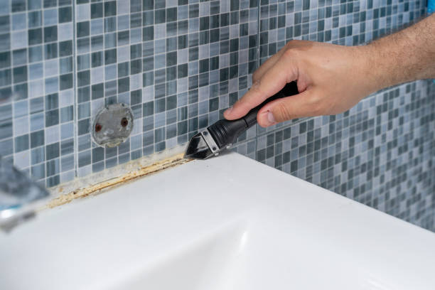 Best Mold Removal and Inspection  in Galena, IN